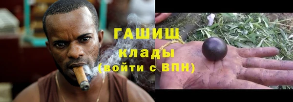 стафф Осинники