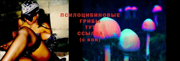 стафф Осинники