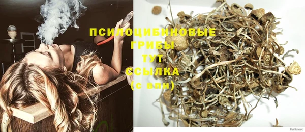 прущая мука Осташков