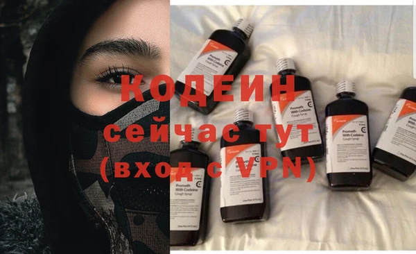 стафф Осинники