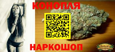 сатива Аргун