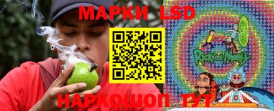 сатива Аргун