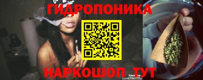 сатива Аргун