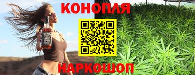сатива Аргун