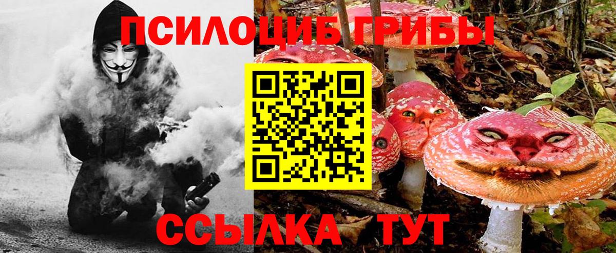 Галлюциногенные грибы мицелий  Ртищево  наркотики  Псилоцибиновые грибы Magic Shrooms 