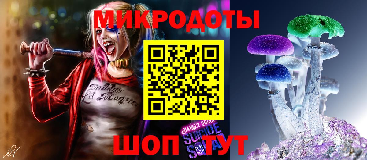 продажа наркотиков  Вход с VPN  Ртищево  Псилоцибиновые грибы Psilocybe  Псилоцибиновые грибы мицелий 